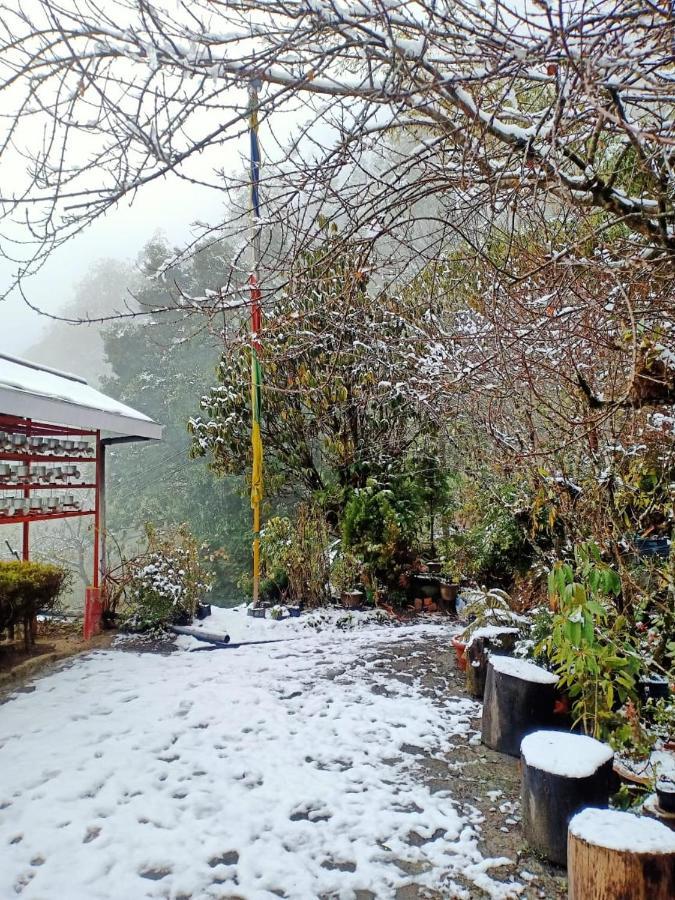 Hermit Retreat Darjeeling  Esterno foto